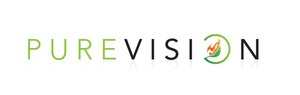 PureVision BV5i high defintion inset multifuel stove